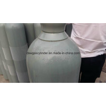 99.9% Co Gas Filled in 40L Cylinder Gas Vol 20kg/Cylinder with Qf-2 Valve